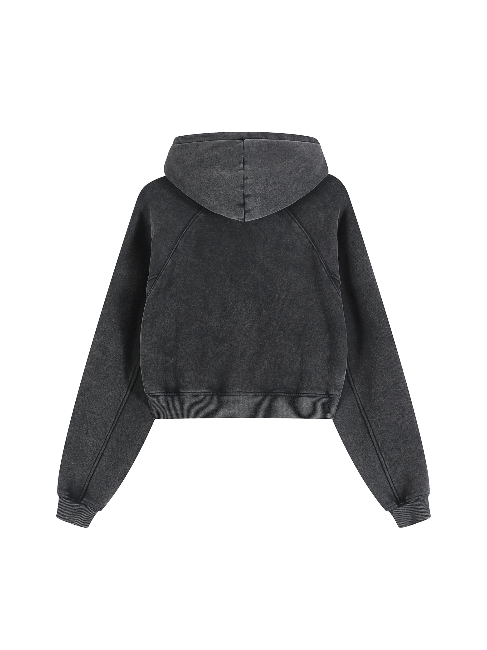 Snow Washed Cropped Hoodie